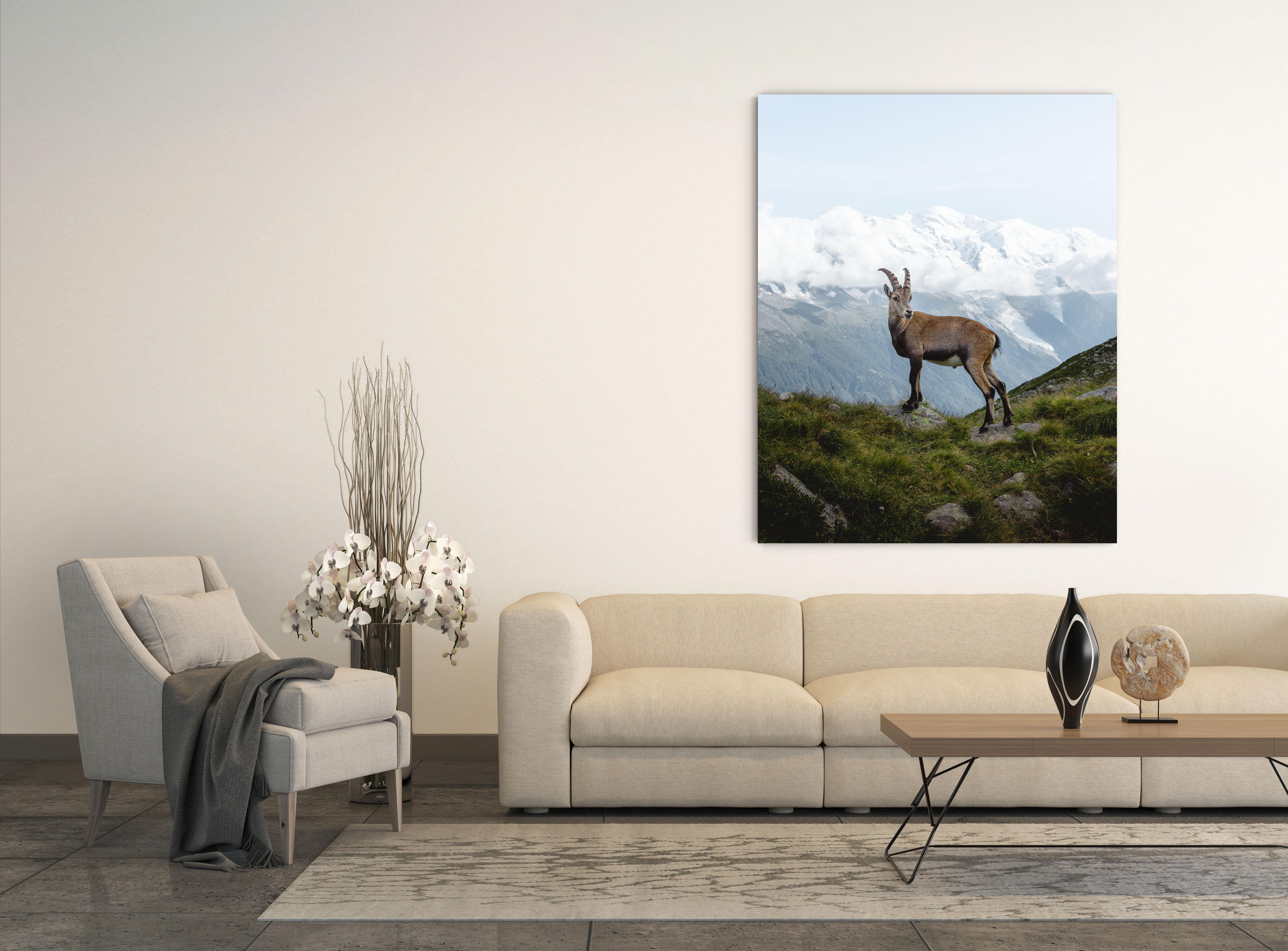 Modern Ibex Mont Blanc by Christiaan Nies For Sale