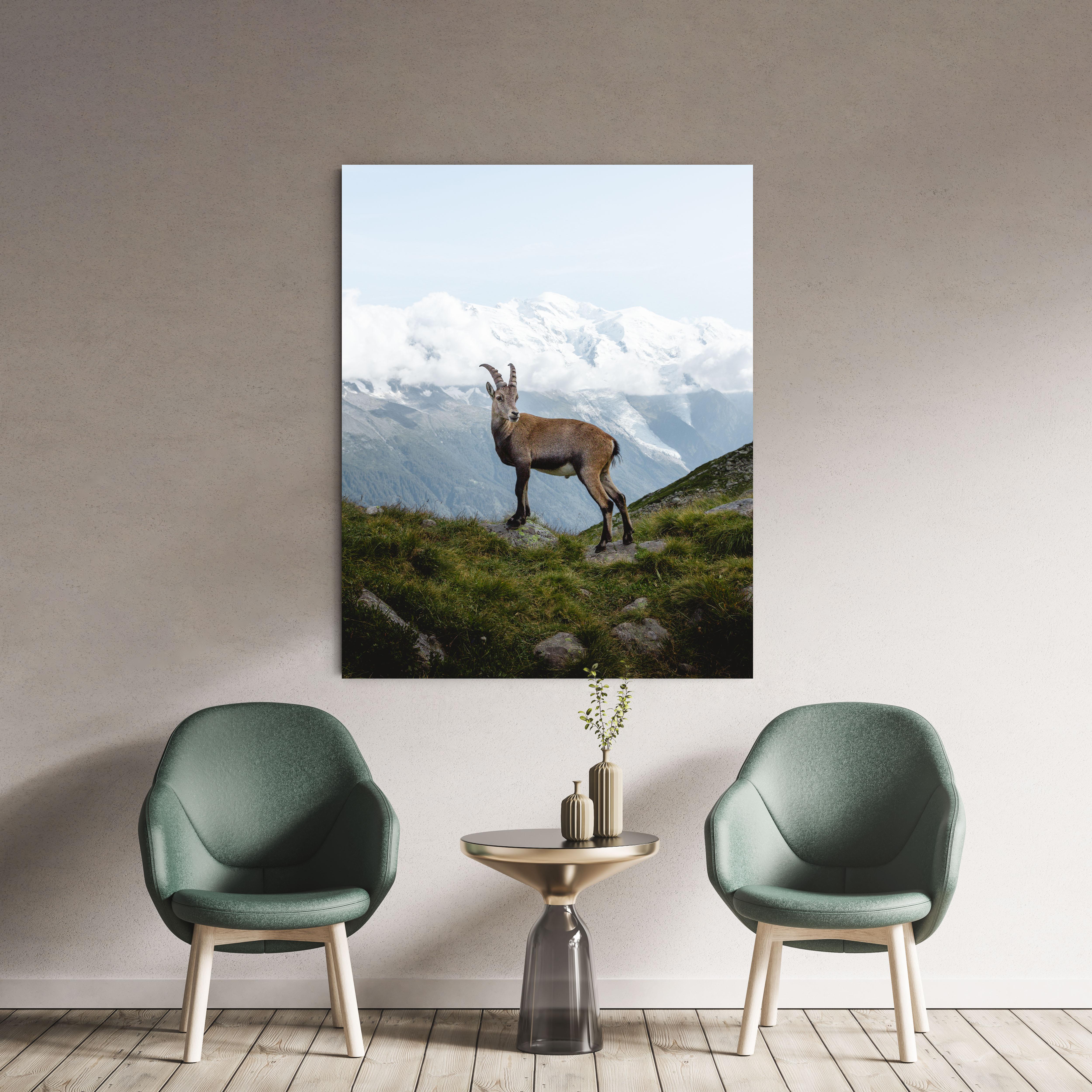 Dutch Ibex Mont Blanc by Christiaan Nies For Sale