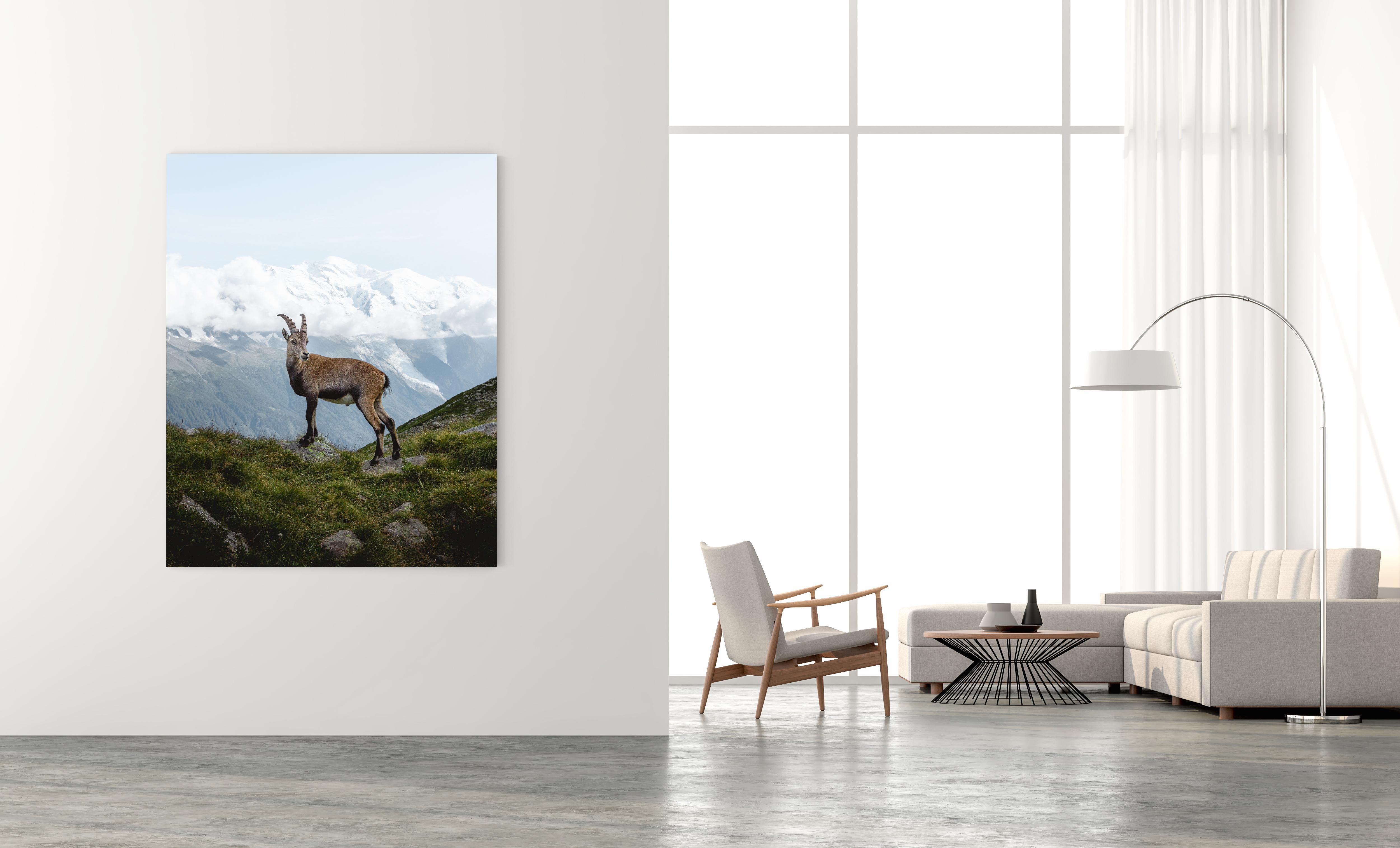 Ibex Mont Blanc by Christiaan Nies For Sale 1