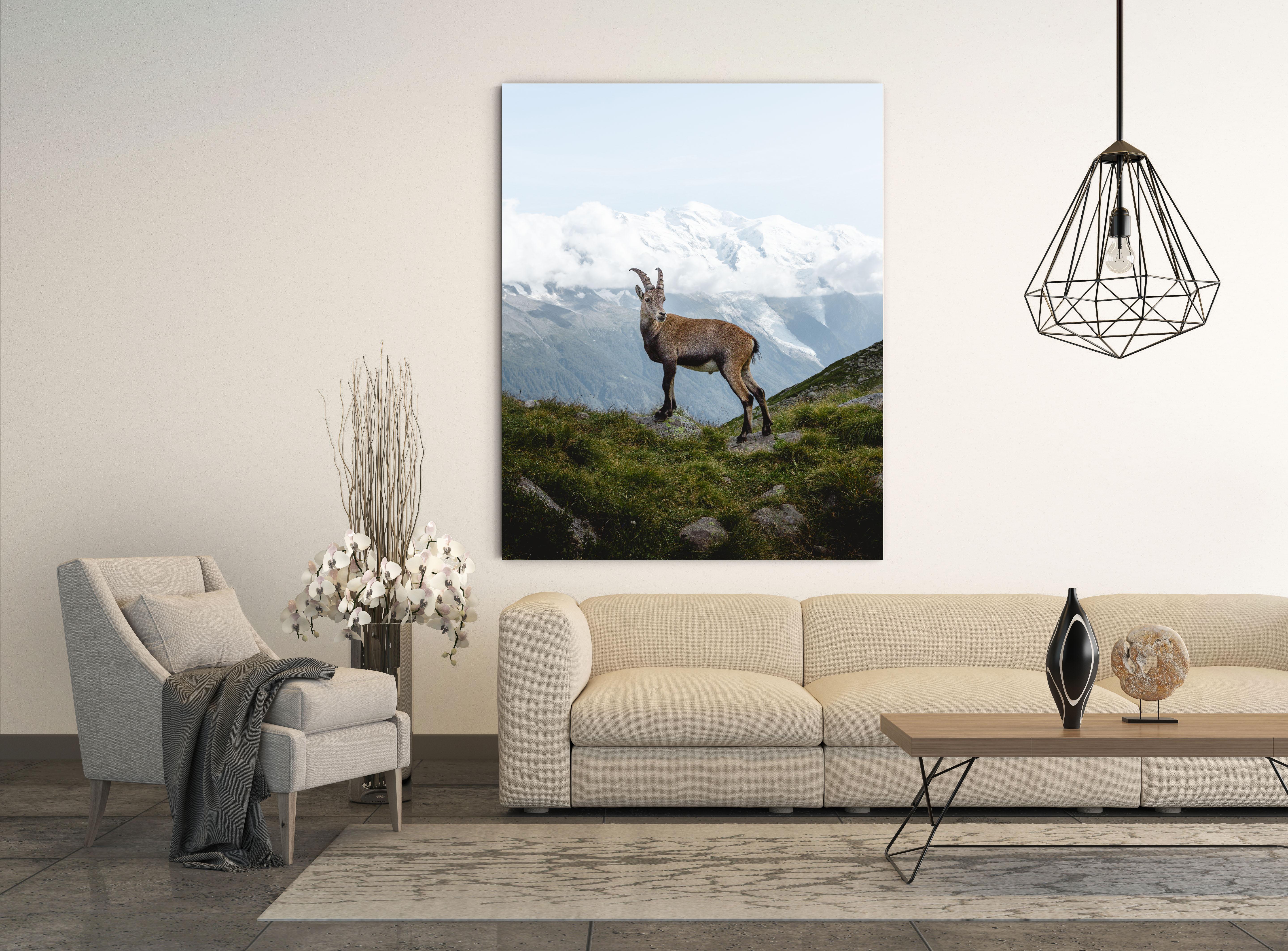 Ibex Mont Blanc by Christiaan Nies For Sale 2