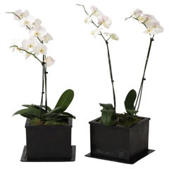 IBU Sand Cast Bronze Planters, Custom Bronze Trays, France, signed, numbered