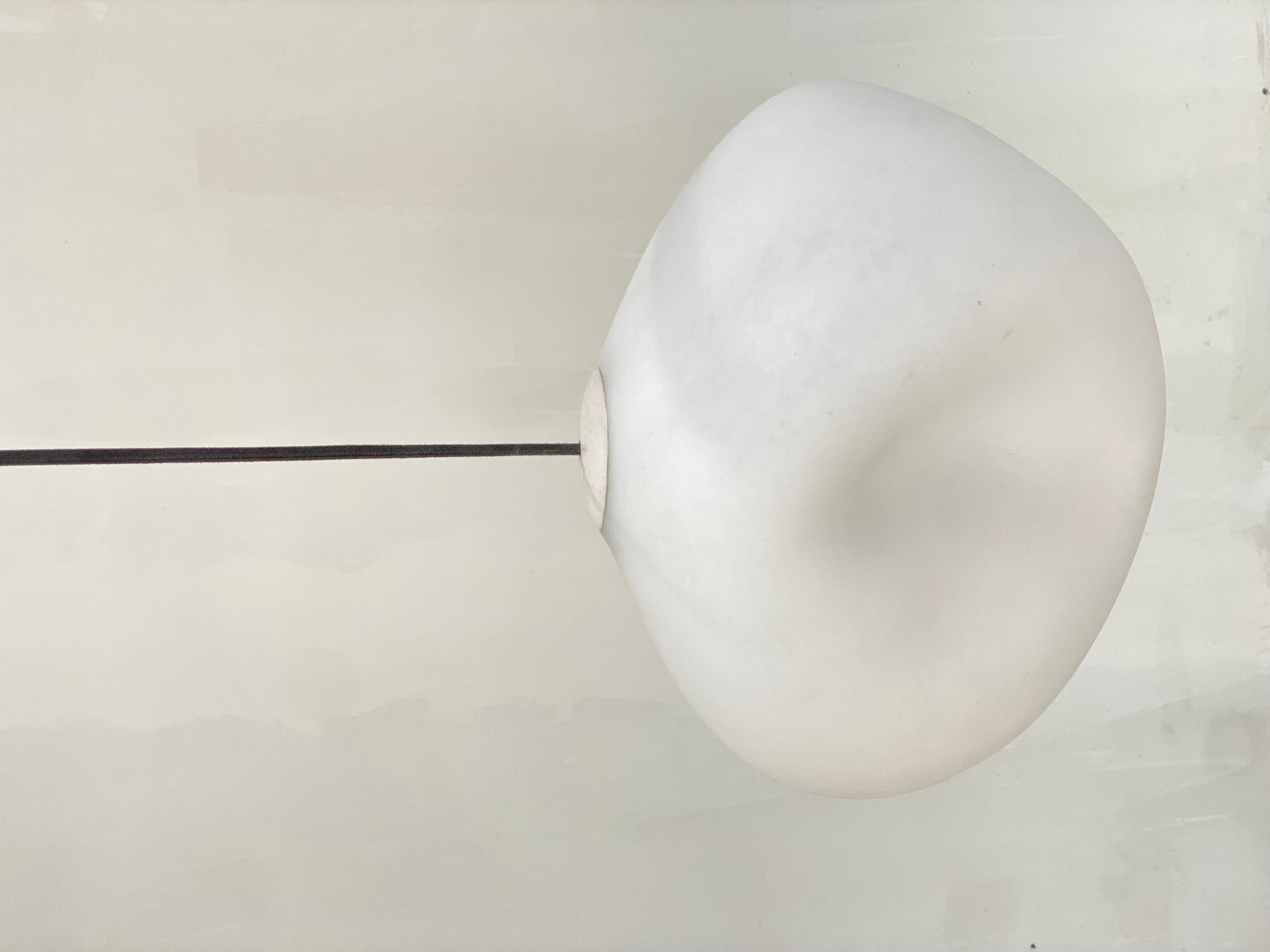Vetro Lampada a sospensione in legno annerito Sculptural Form A Winged Branch di Jérôme Pereira in vendita