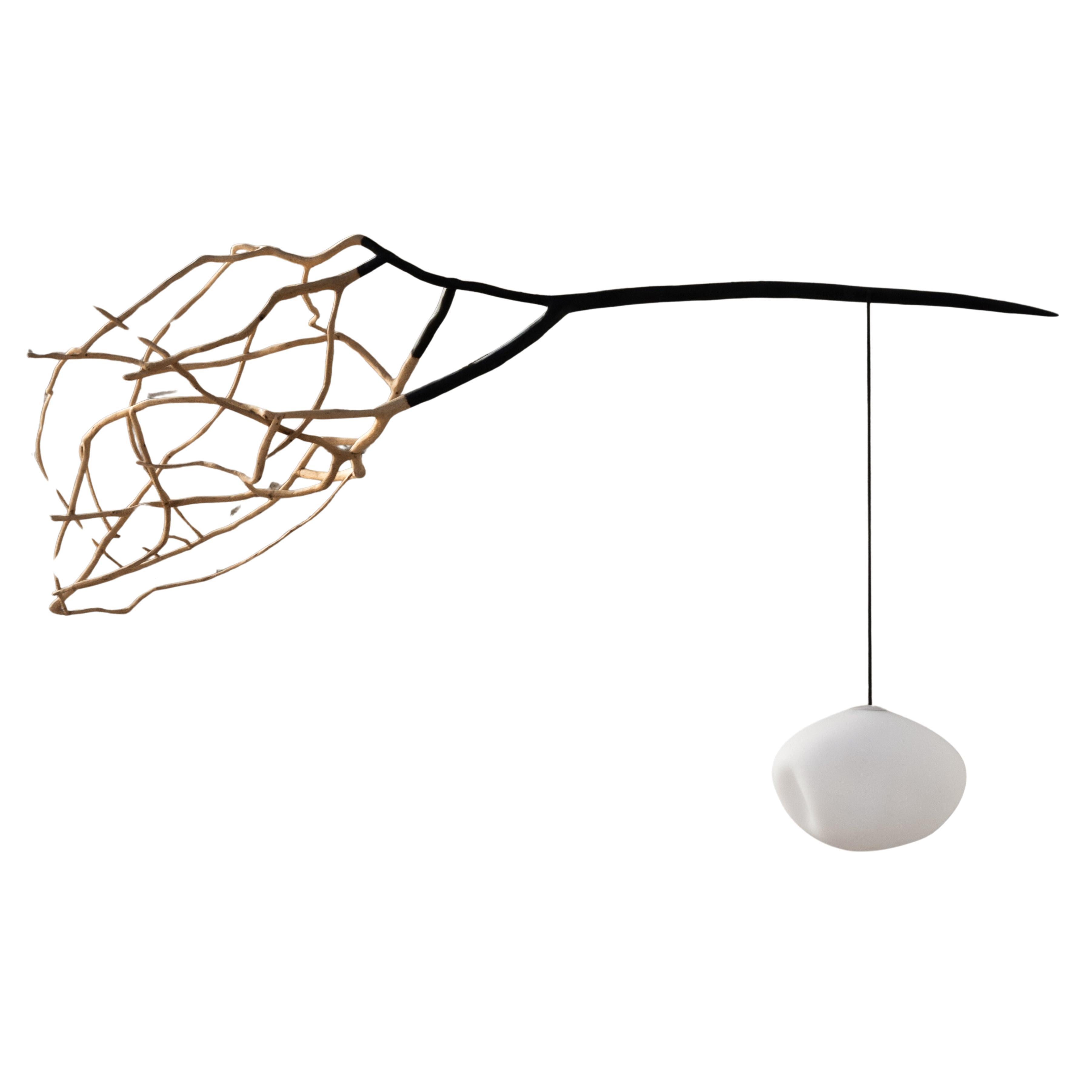 Icarus Suspension Lamp by Jérôme Pereira  For Sale