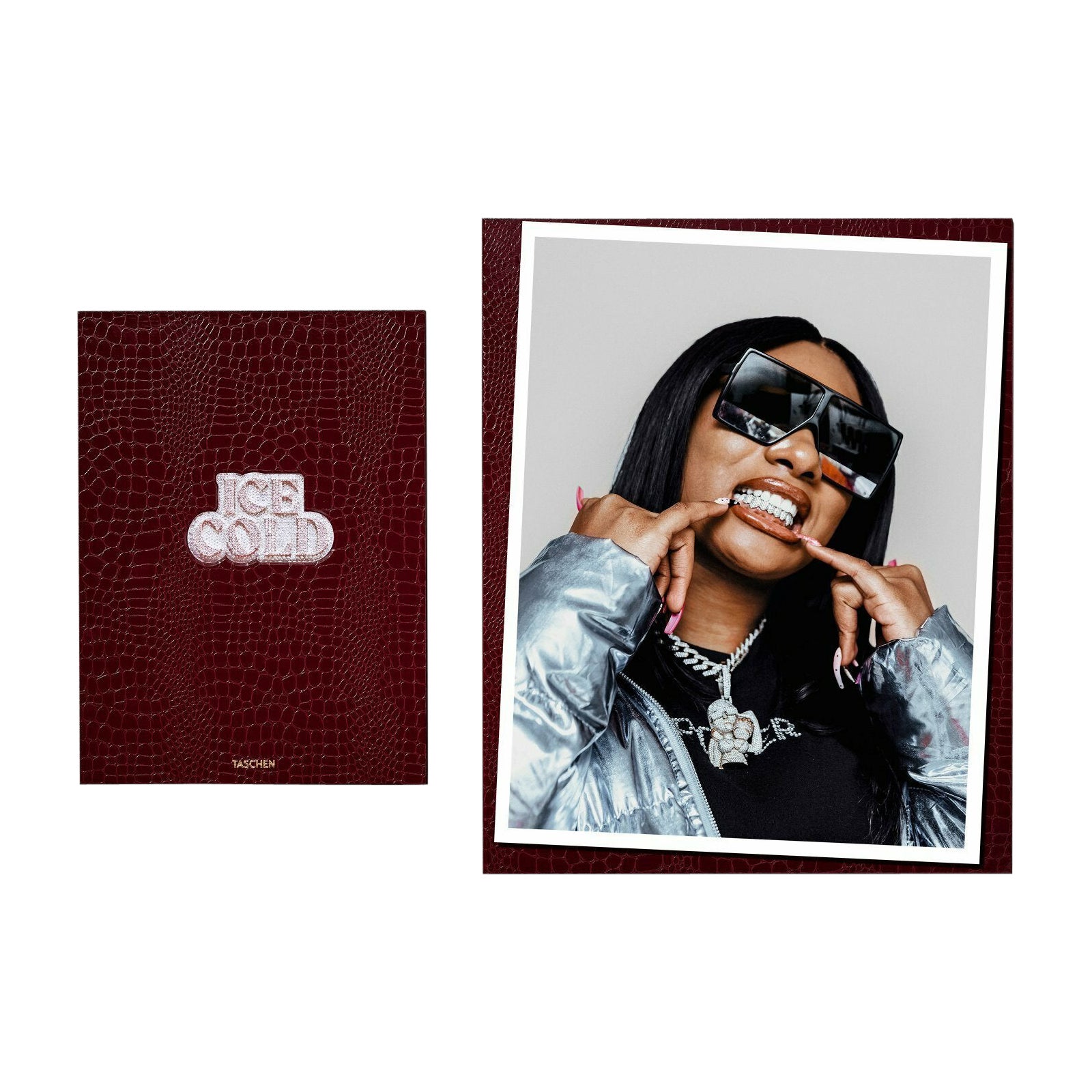 Freddo glaciale. "Megan Thee Stallion", libro in edizione limitata con stampa d'arte firmata