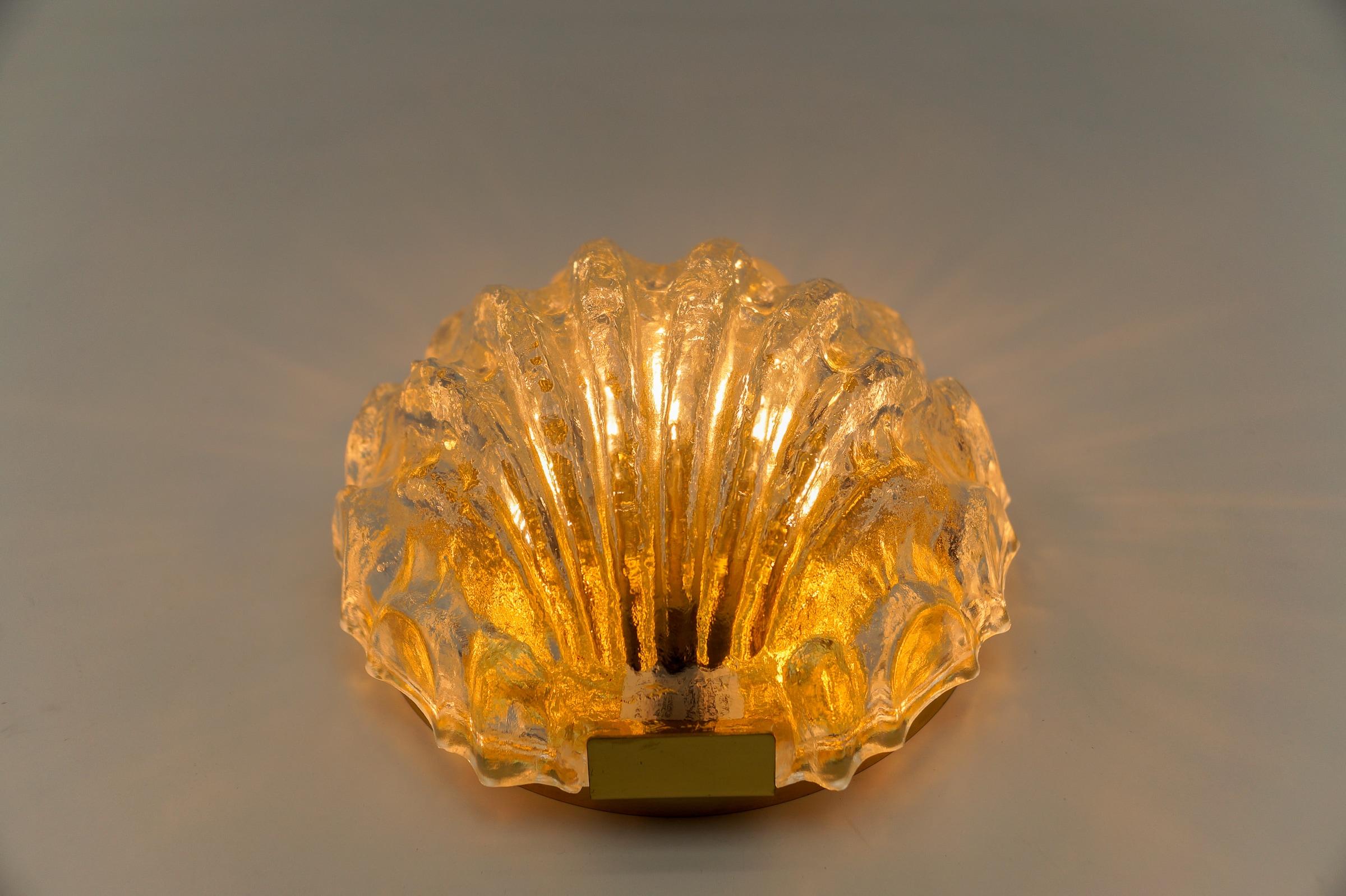Metal Ice Glass Sea Shell Wall Light by Limburg, 1960s Germany   For Sale