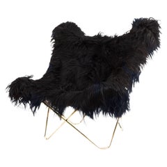 Iceland Mariposa Lounge Chair di Cuero Design