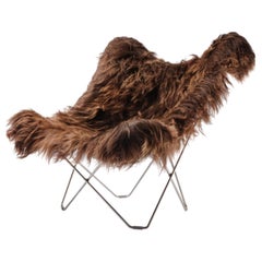 Iceland Mariposa Lounge Chair di Cuero Design