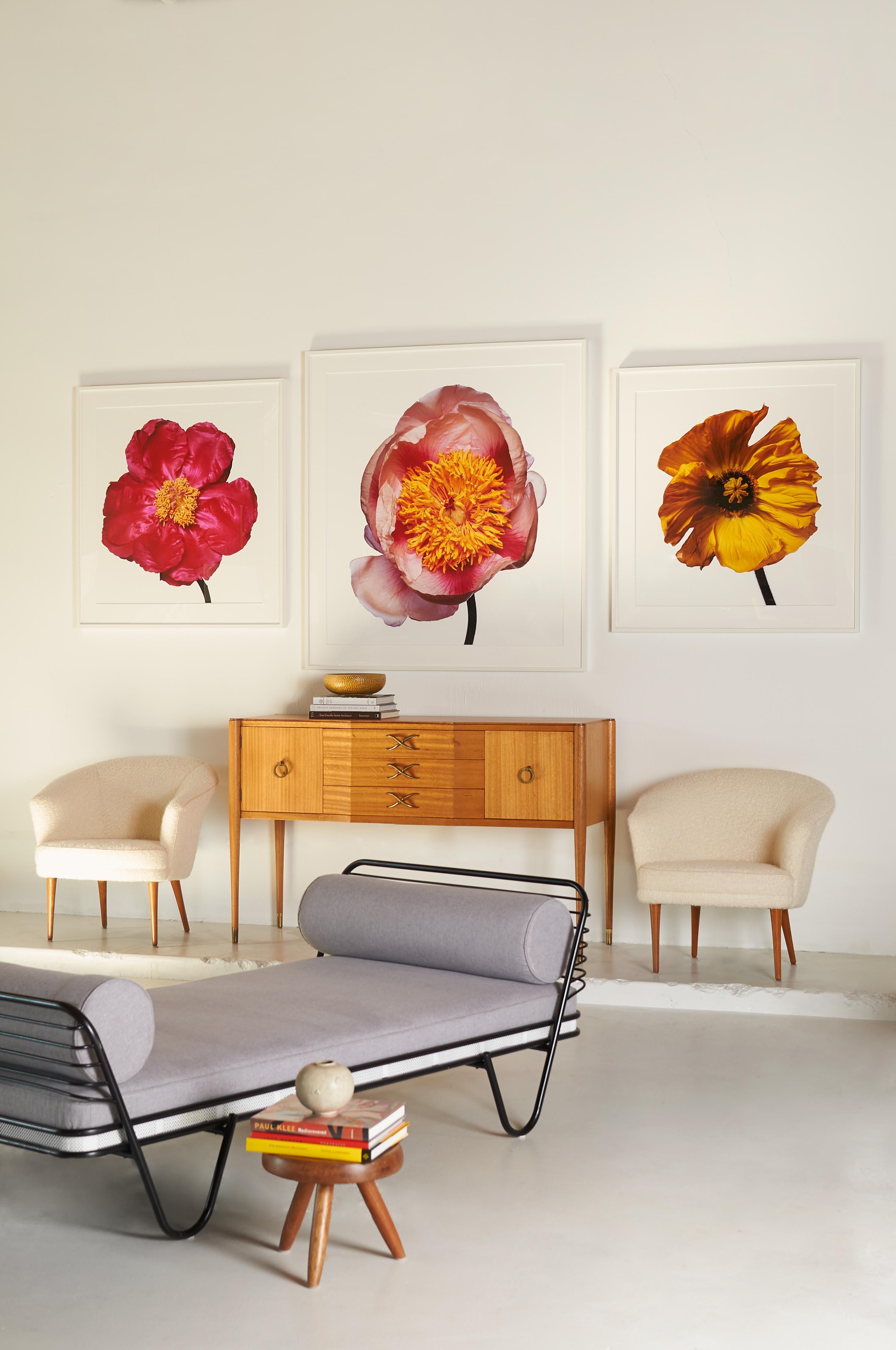 Contemporary Iceland Poppy 'Y' by Michael Zeppetello For Sale