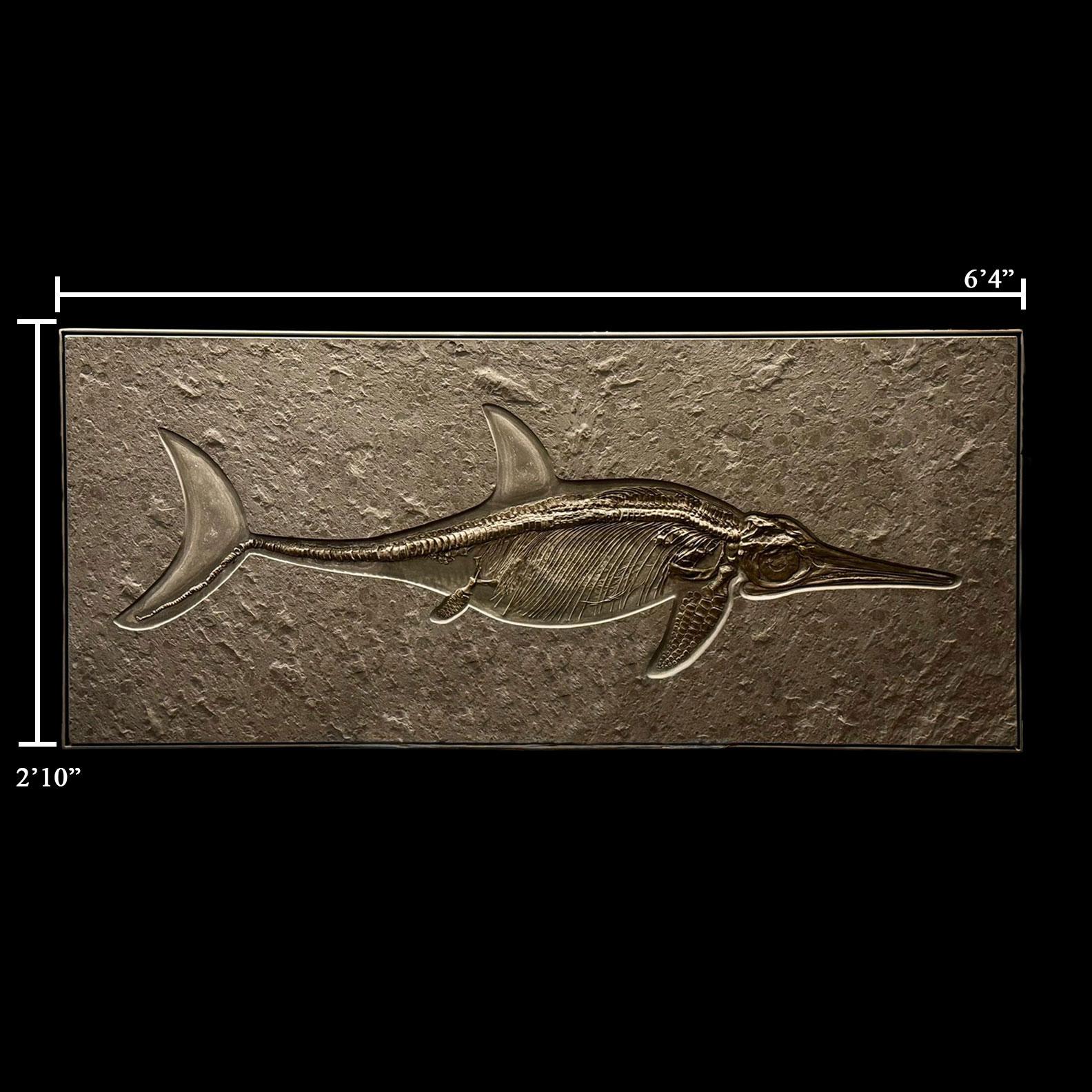 Ichthyosaurier-Fossil aus Deutschland im Zustand „Hervorragend“ im Angebot in New York, NY