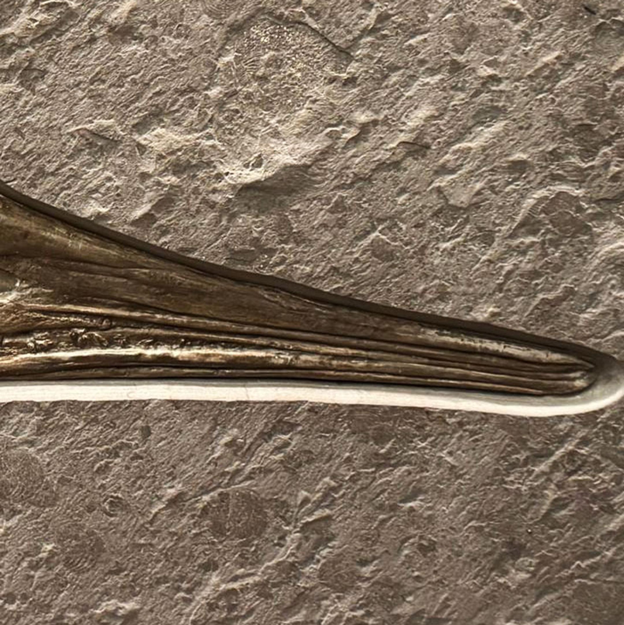 Ichthyosaurier-Fossil aus Deutschland im Angebot 4