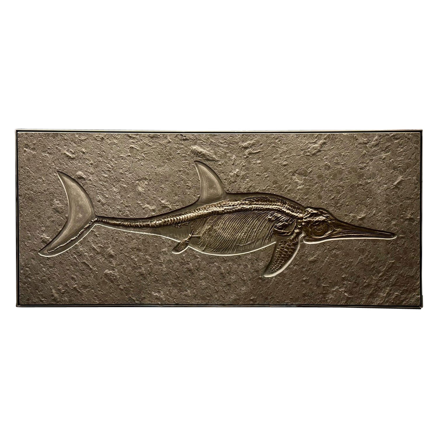 Ichthyosaurier-Fossil aus Deutschland