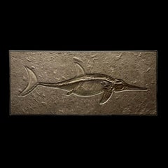 Ichthyosaurier-Fossil aus Deutschland