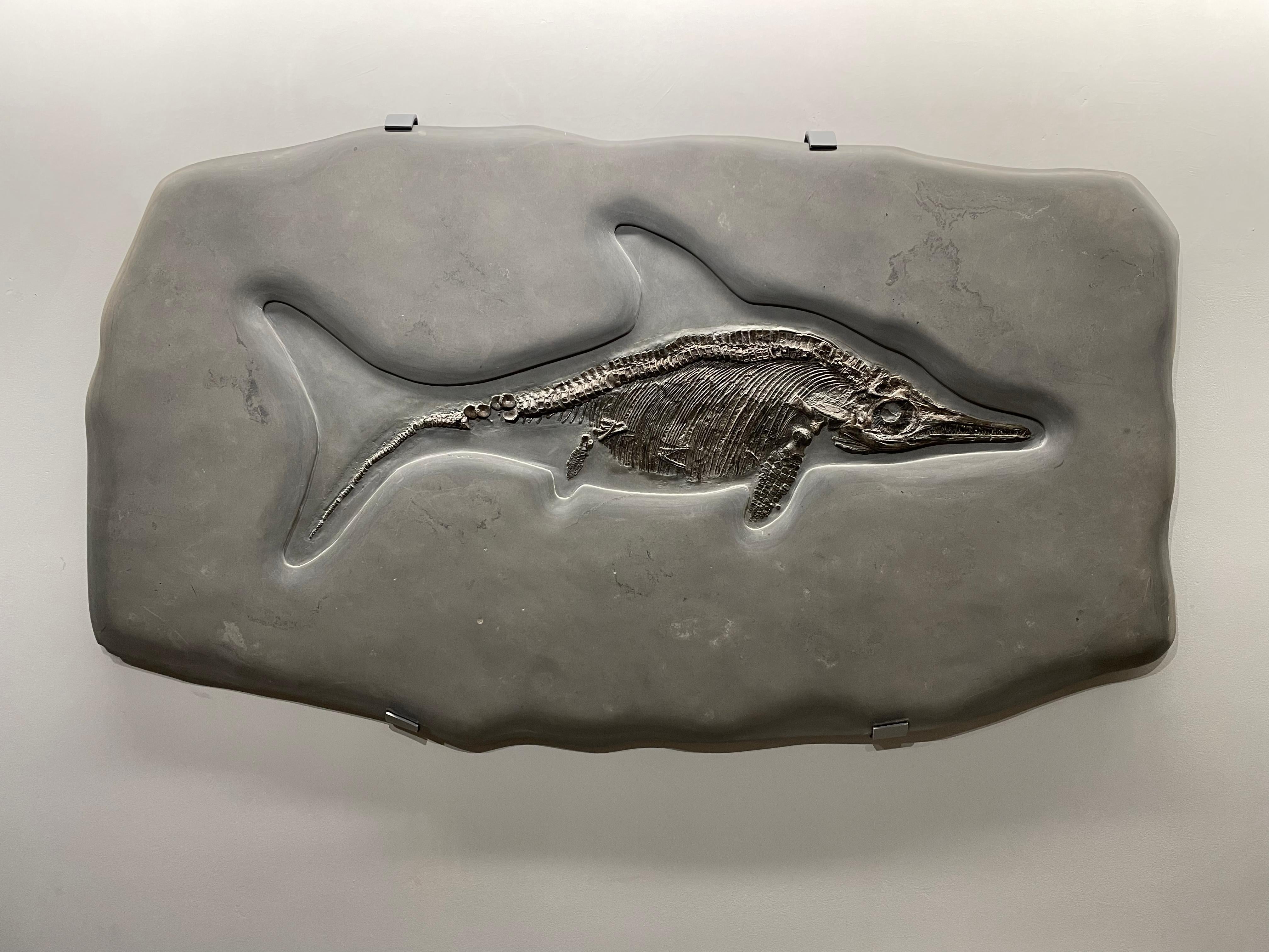 Rare and complete fossilised skeleton of an Ichthyosaur skeleton in grey matrix

Ichthyosaurus
Late Jurassic (165-145 million years ago)
Measures: 72 x 125 x 4 cm
Jurassic Coast, Dorset, UK

A superbly preserved marine reptile, appearing on a