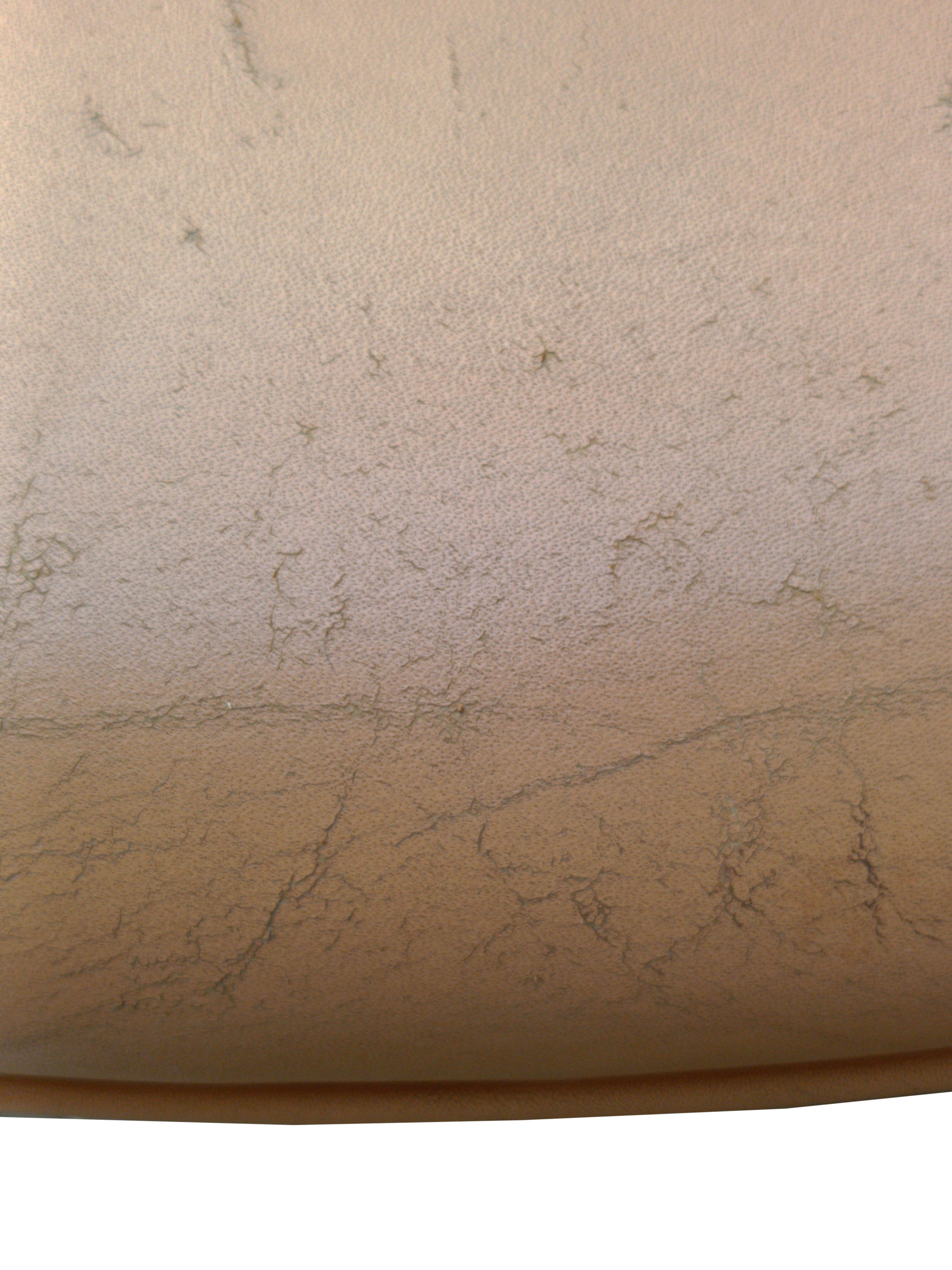 Ico Parisi for MIM Roma Swiwel Chair, Italy 1950s For Sale 4