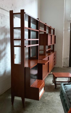 Ico Parisi Fratelli Rizzi Custom Italian Walnut Library Shelving Storage, 1958