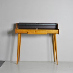 Ico Parisi in the Style Mini Desk 60's