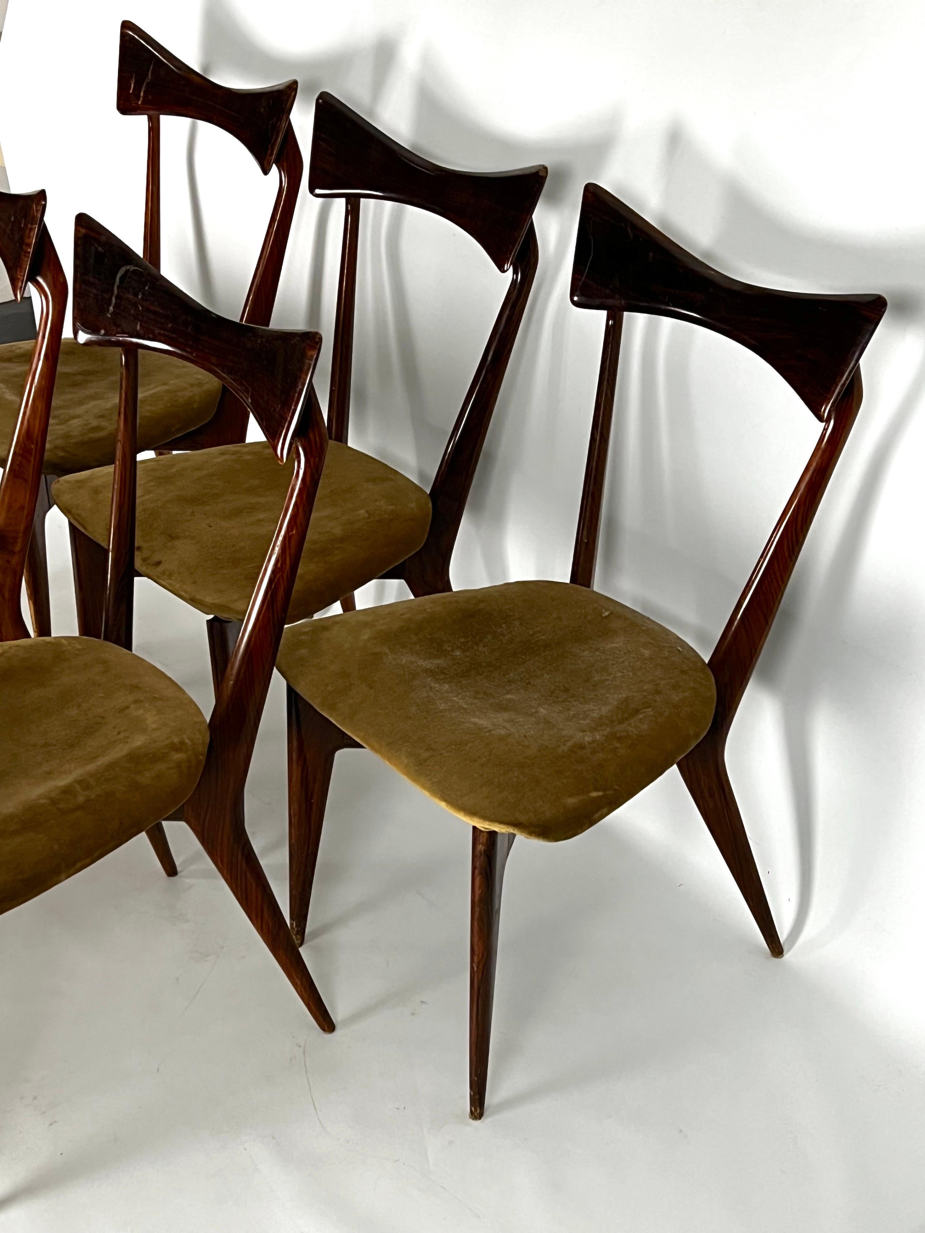 italien Ico Parisi, ensemble de cinq chaises papillon pour Ariberto Colombo. Italie années 1950