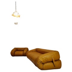 Vintage Iconic Anfibio Sofa and Armchair Set by Alessandro Becchi for Giovannetti 1970