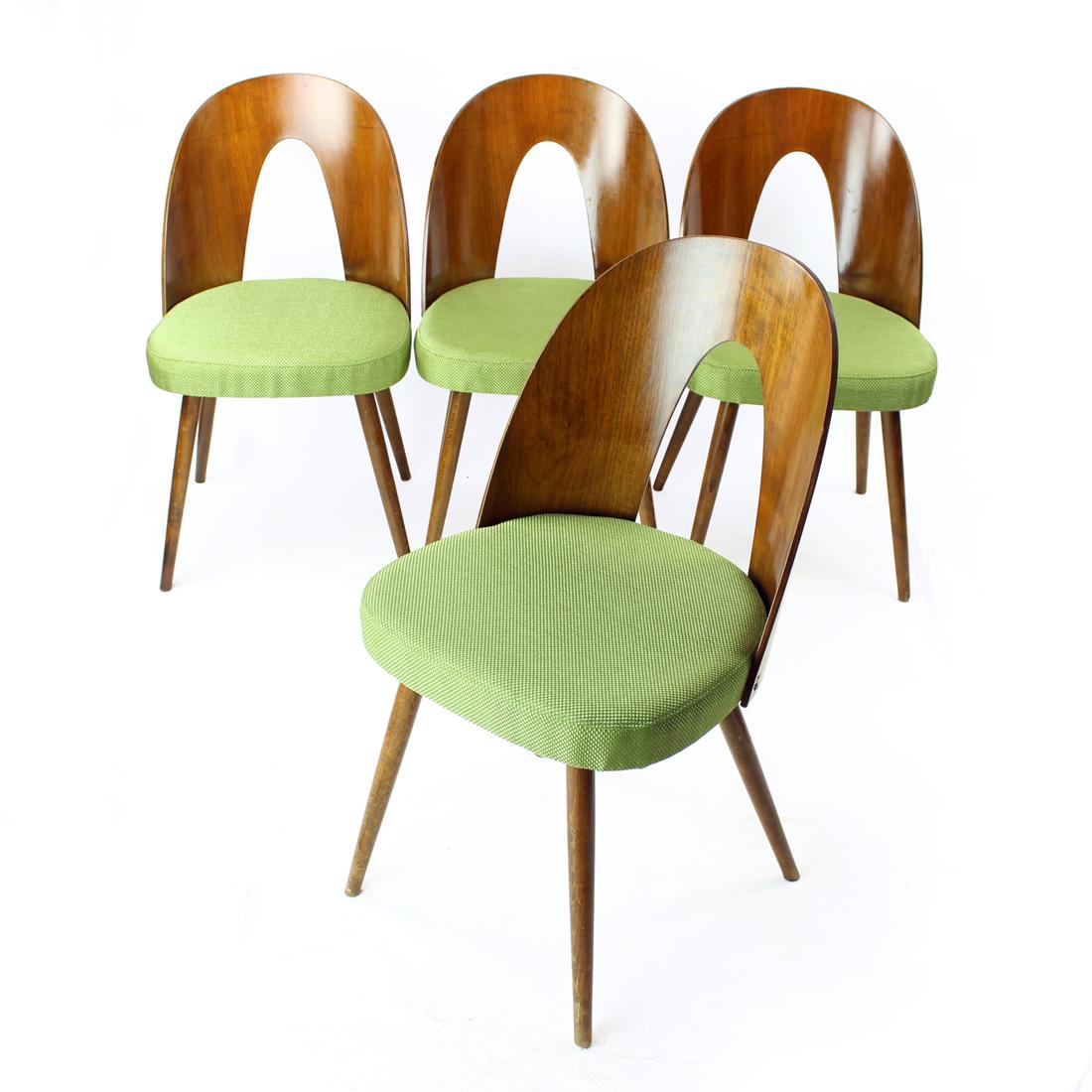 Magnifiques chaises de salle à manger produites par la société Tatra en Tchécoslovaquie dans les années 1960. Les chaises ont été conçues par Antonin Šuman. Ce magnifique ensemble est plaqué en noyer foncé sur le dossier en bois courbé. Le bois est