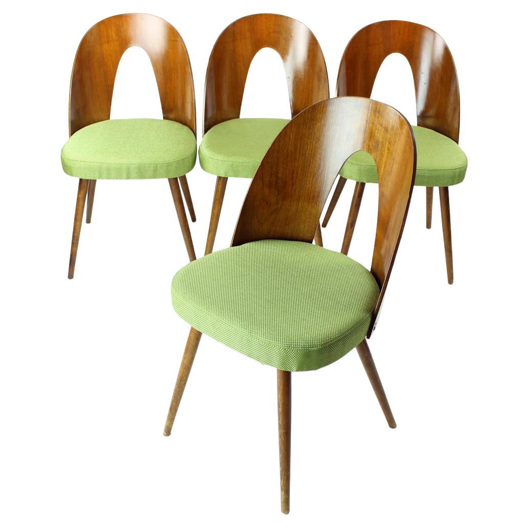 Iconic Dining Chairs By Tatra By Antonín Šuman, Czechoslovakia 1960s For Sale