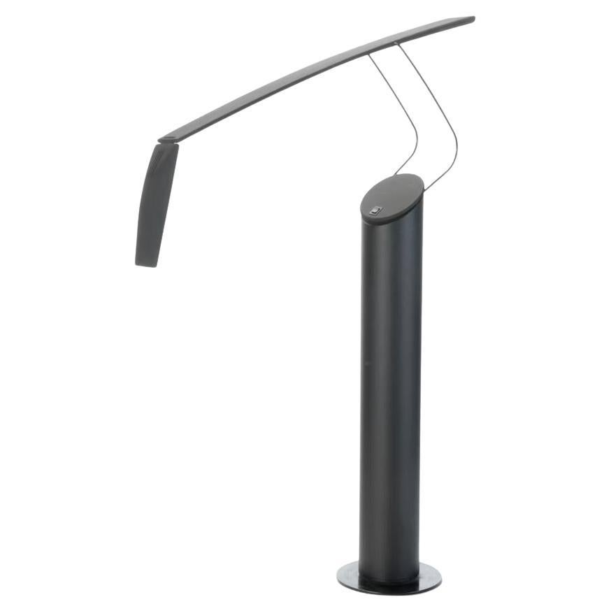 Lampadaire halogène Icone Dove de Mario Barbiglia & Marco Columbo en vente