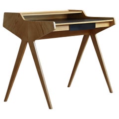 Iconic "Lady Desk" by Helmut Magg for WK Möbel, Midcentury, 1950s
