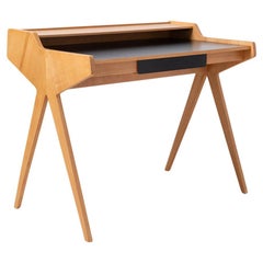 Iconic "Lady Desk" by Helmut Magg for WK Möbel, Midcentury, 1950s