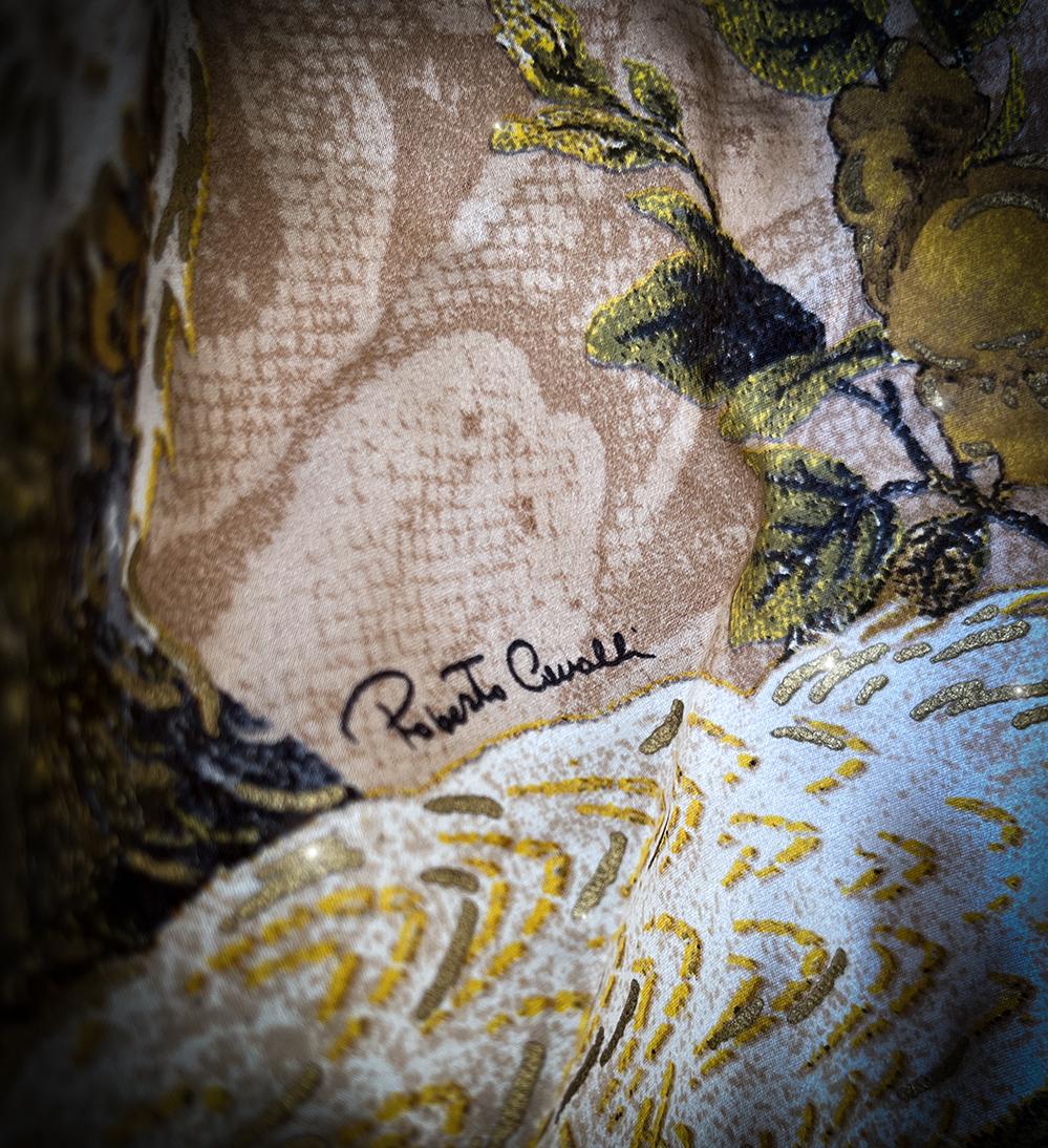 Iconic Roberto Cavalli FW 2006 Silk Evening Gown Showstopper For Sale 7
