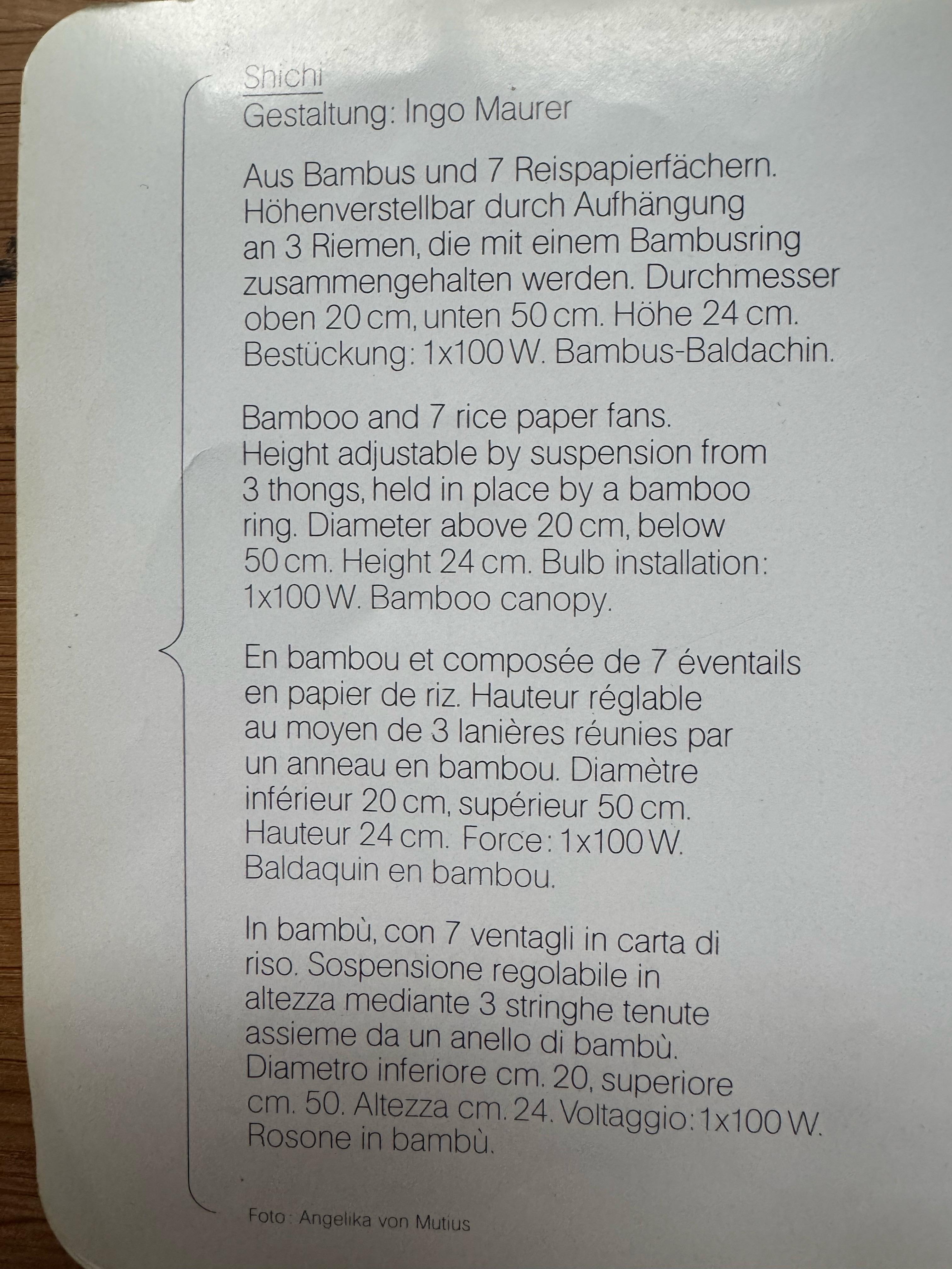 Mid-Century moderno Ciondolo iconico 