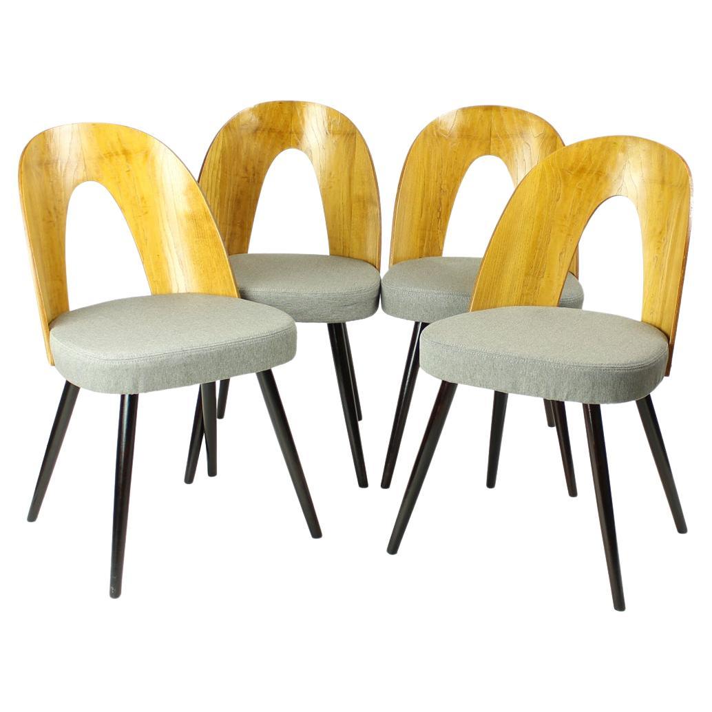 Iconic Tatra Chairs In Oak & Fabric By Antonin Šuman, Tatra 1960s For Sale