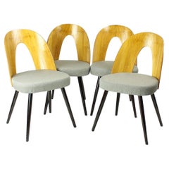 Iconic Tatra Chairs In Oak & Fabric By Antonin Šuman, Tatra 1960s