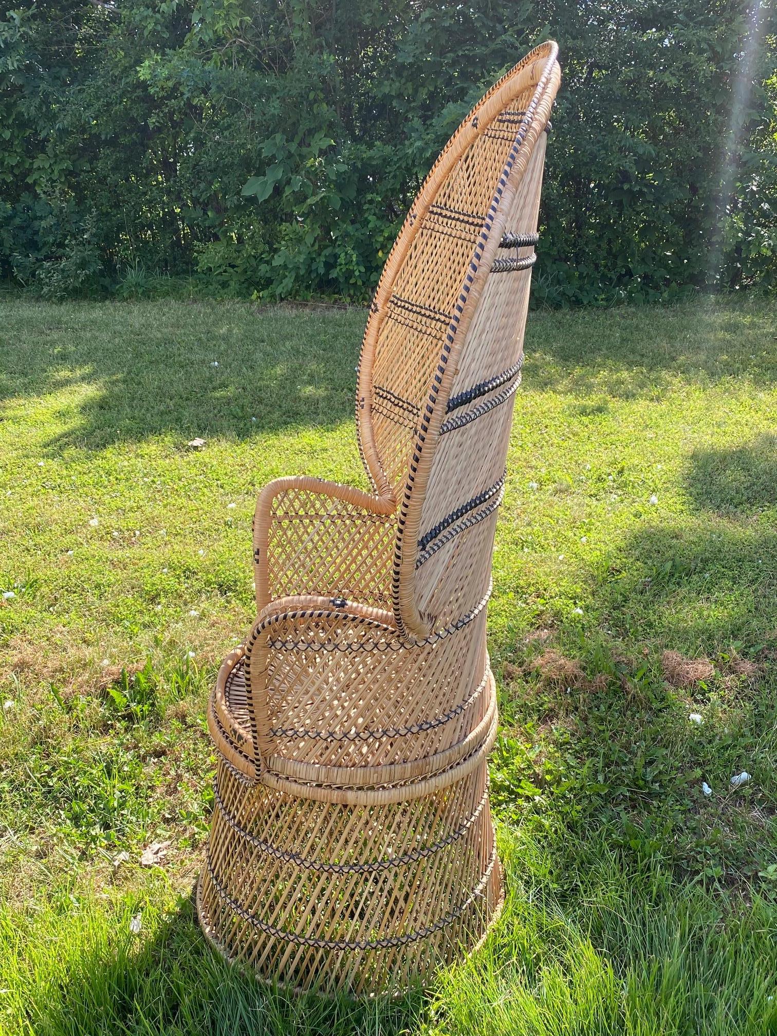 Iconic Vintage Wicker and Woven Rattan Peacock Chair 1
