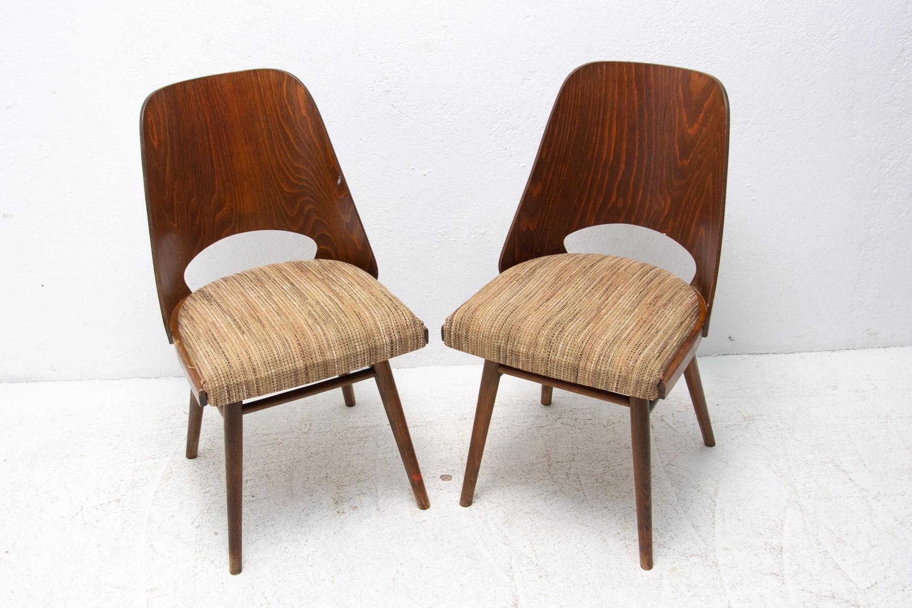 Mid-Century Modern Mid Century Dining Chairs by Radomír Hofman for TON, 1960´s, Czechoslovakia