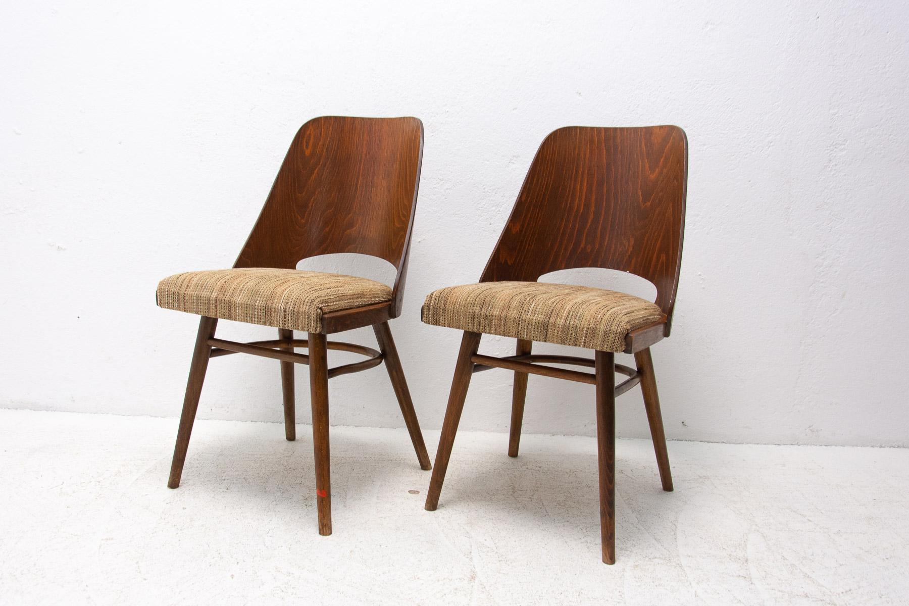 Mid Century Dining Chairs by Radomír Hofman for TON, 1960´s, Czechoslovakia In Good Condition In Prague 8, CZ
