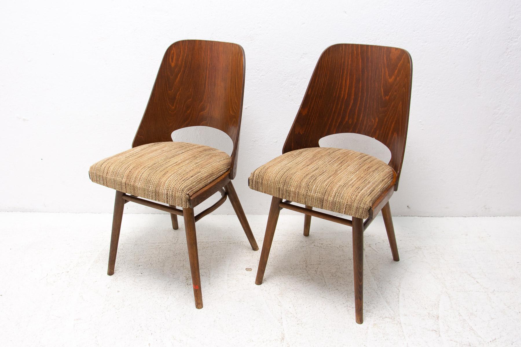 20th Century Mid Century Dining Chairs by Radomír Hofman for TON, 1960´s, Czechoslovakia