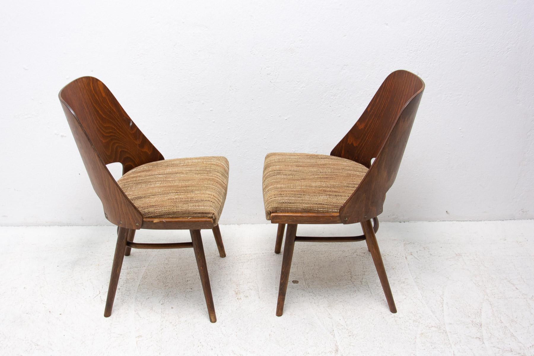 Mid Century Dining Chairs by Radomír Hofman for TON, 1960´s, Czechoslovakia 1