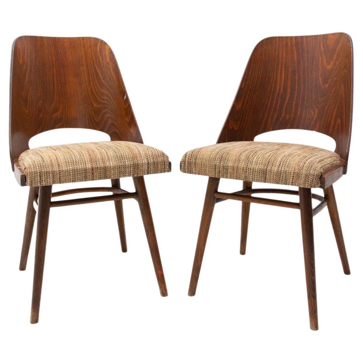 Mid Century Dining Chairs by Radomír Hofman for TON, 1960´s, Czechoslovakia