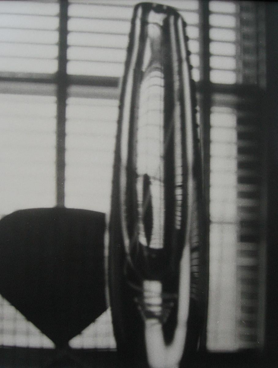 Illusion d'Ida Lansky représente un vase en verre devant une fenêtre à stores. L'arrière-plan est déformé par le verre, ce qui permet d'abstraire l'image en faisant ressortir les différents tons et formes. 

Illusion d'Ida Lansky est un tirage