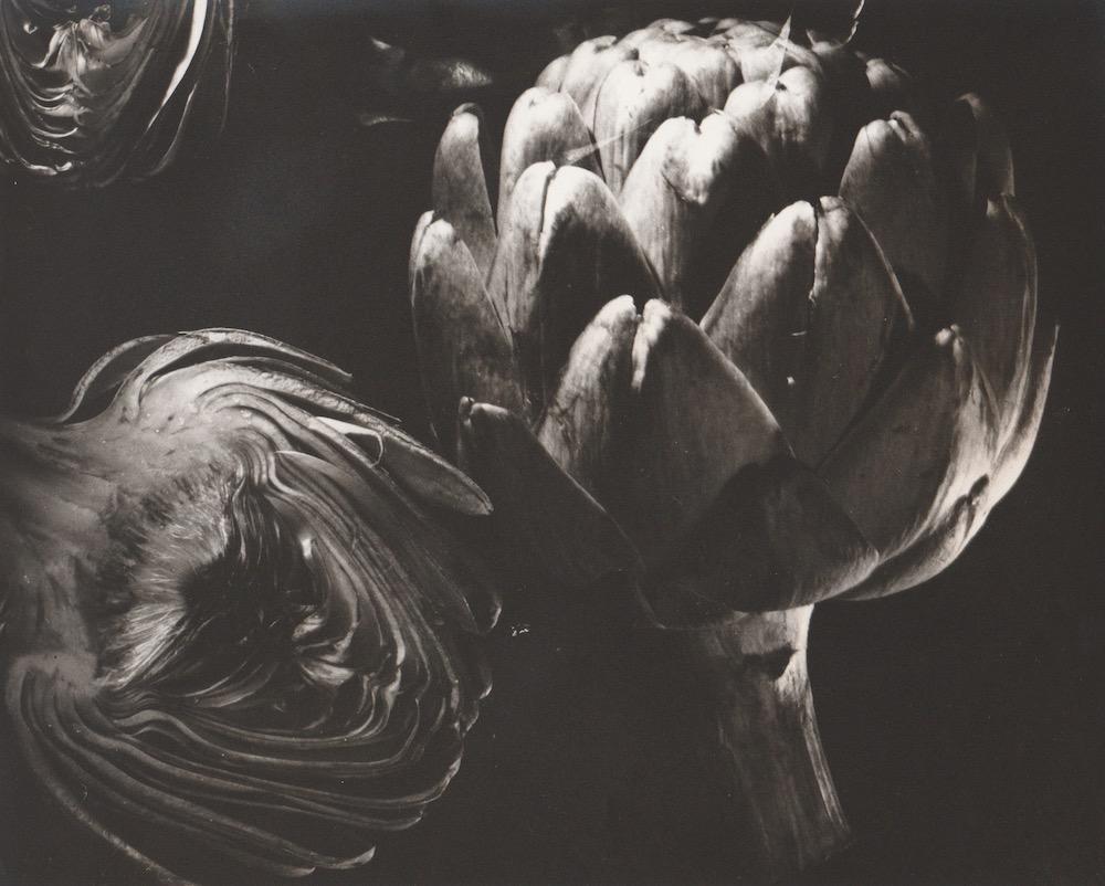 Untitled (artichokes) by Ida G. Lansky features a detail shot of whole and cut up artichokes. The produce is lit dramatically from the side, emphasizing it's intricate details.

Untitled (artichokes) by Ida G. Lansky is an 8 x 10 inch vintage silver