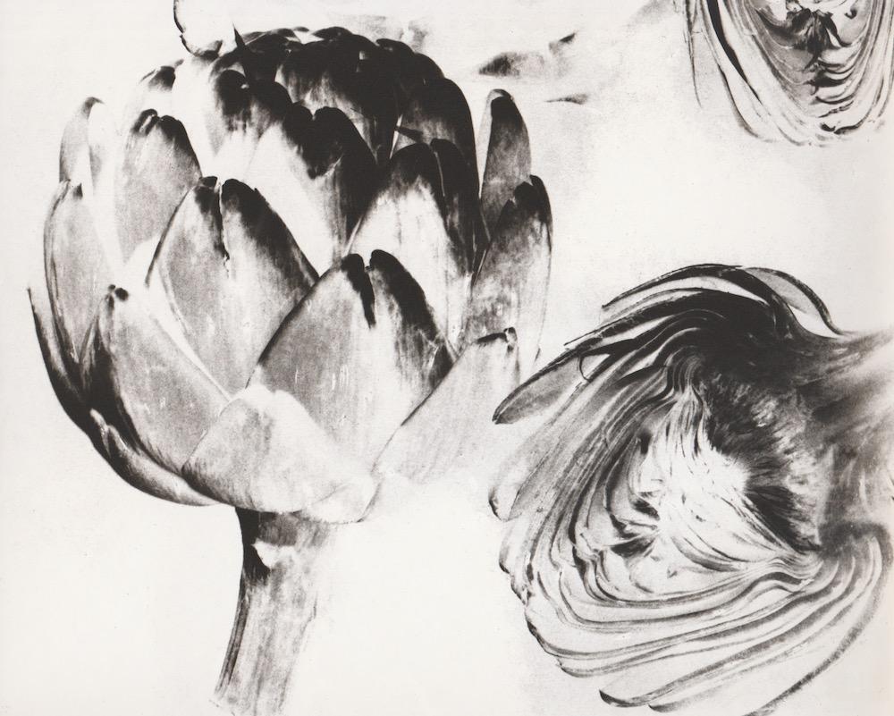 Untitled (artichokes) by Ida G. Lansky features a detail shot of whole and cut up artichokes. The tones of this photograph are reversed, creating an abstract image from a common object. The produce is lit dramatically from the side, emphasizing it's
