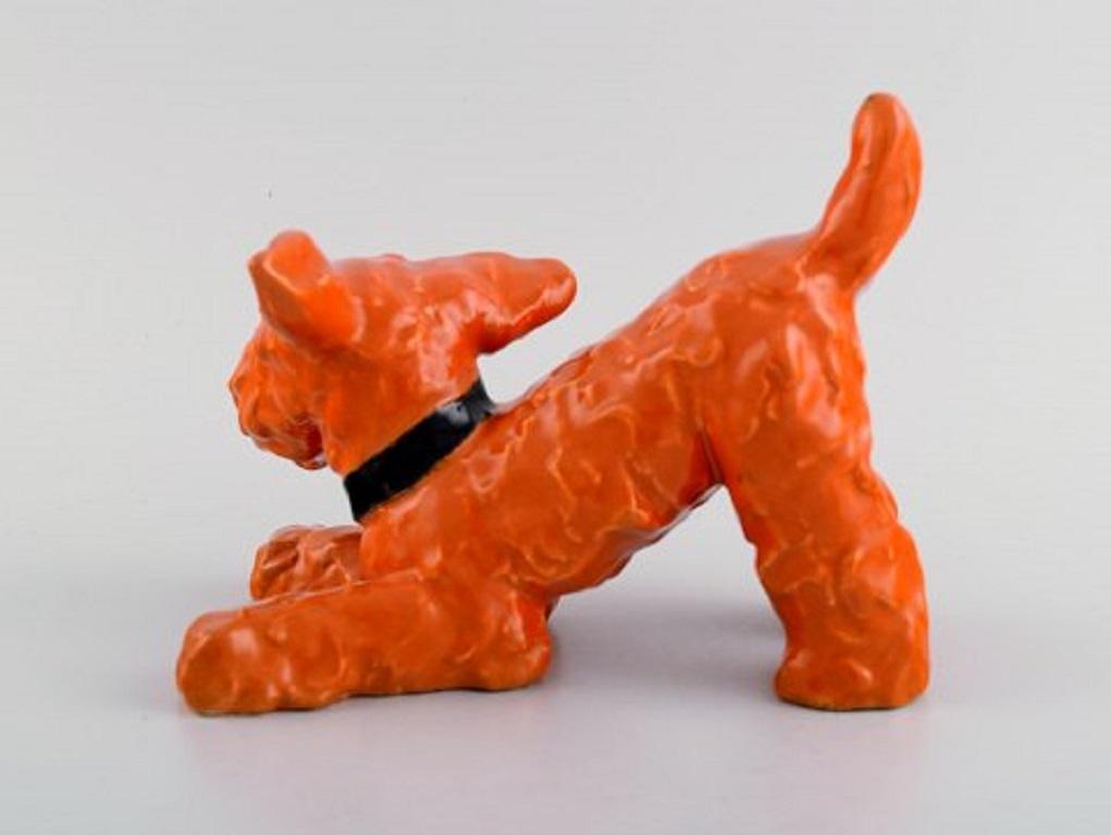 Austrian Ida Meisinger for Goldscheider, Playful Terrier in Glazed Ceramics