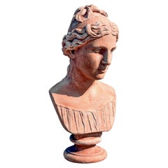 IDEAL TERRACOTTA HEAD OF A WOMAN - GREEK/ROMAN SCULPTURE, 20th Century