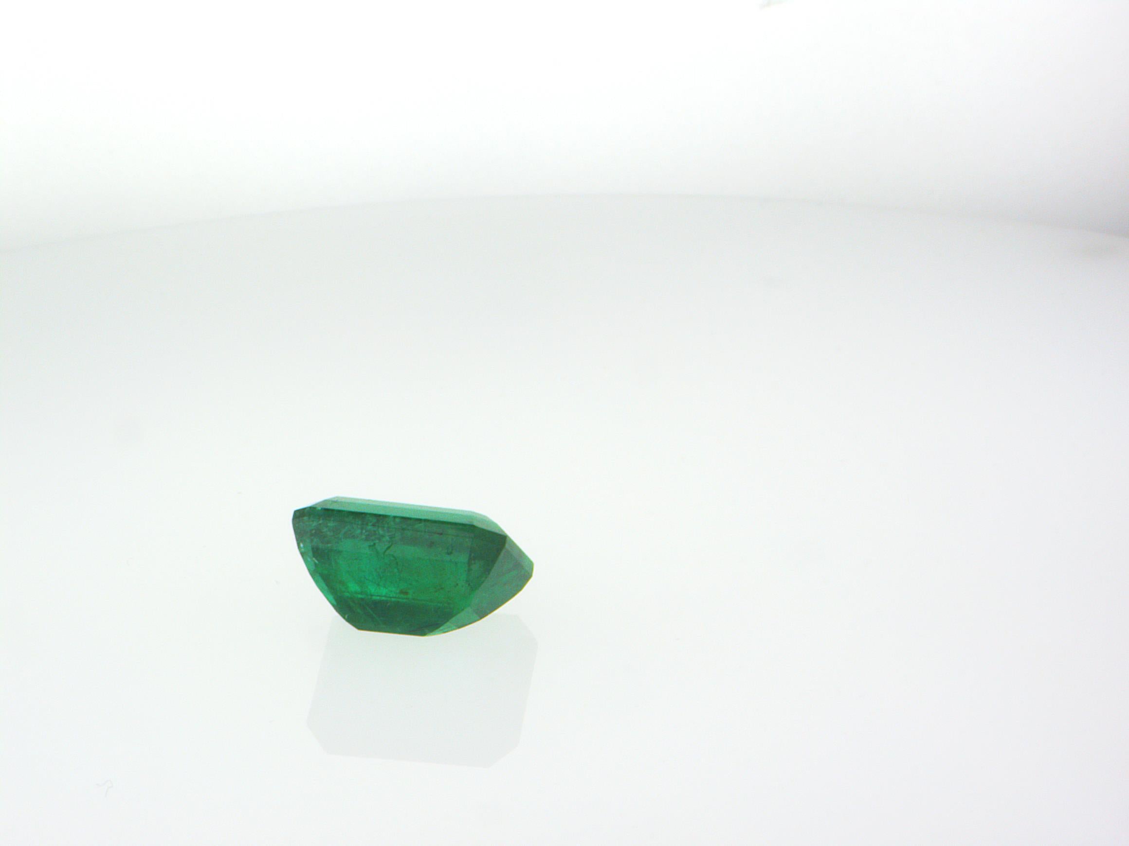 Taille émeraude Émeraude brésilienne mineure de 10,88 carats certifiée IDL en vente