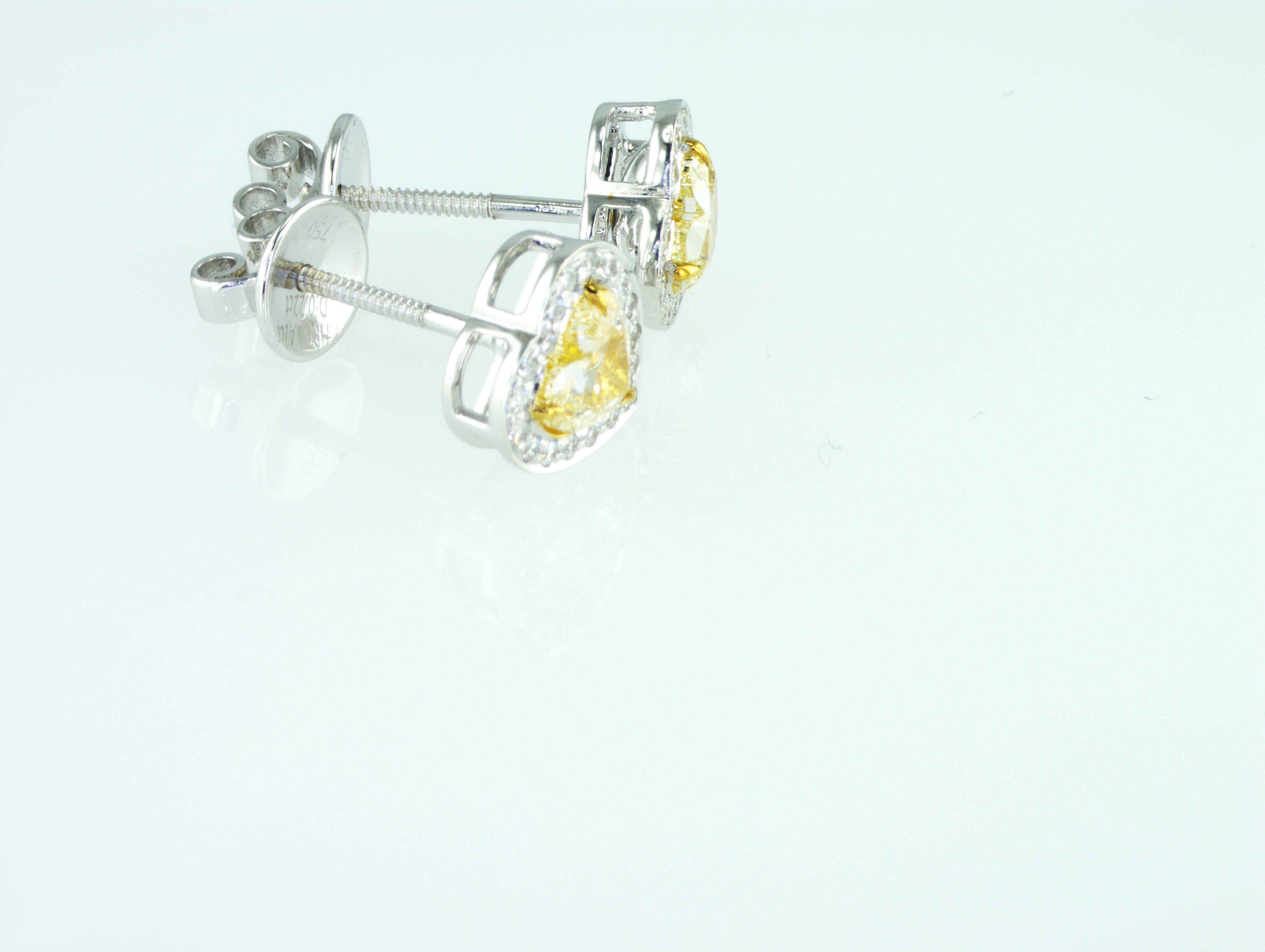 Women's IDL certified 1.66 carat Fancy Yellow Heart shape natural diamonds Earrings For Sale