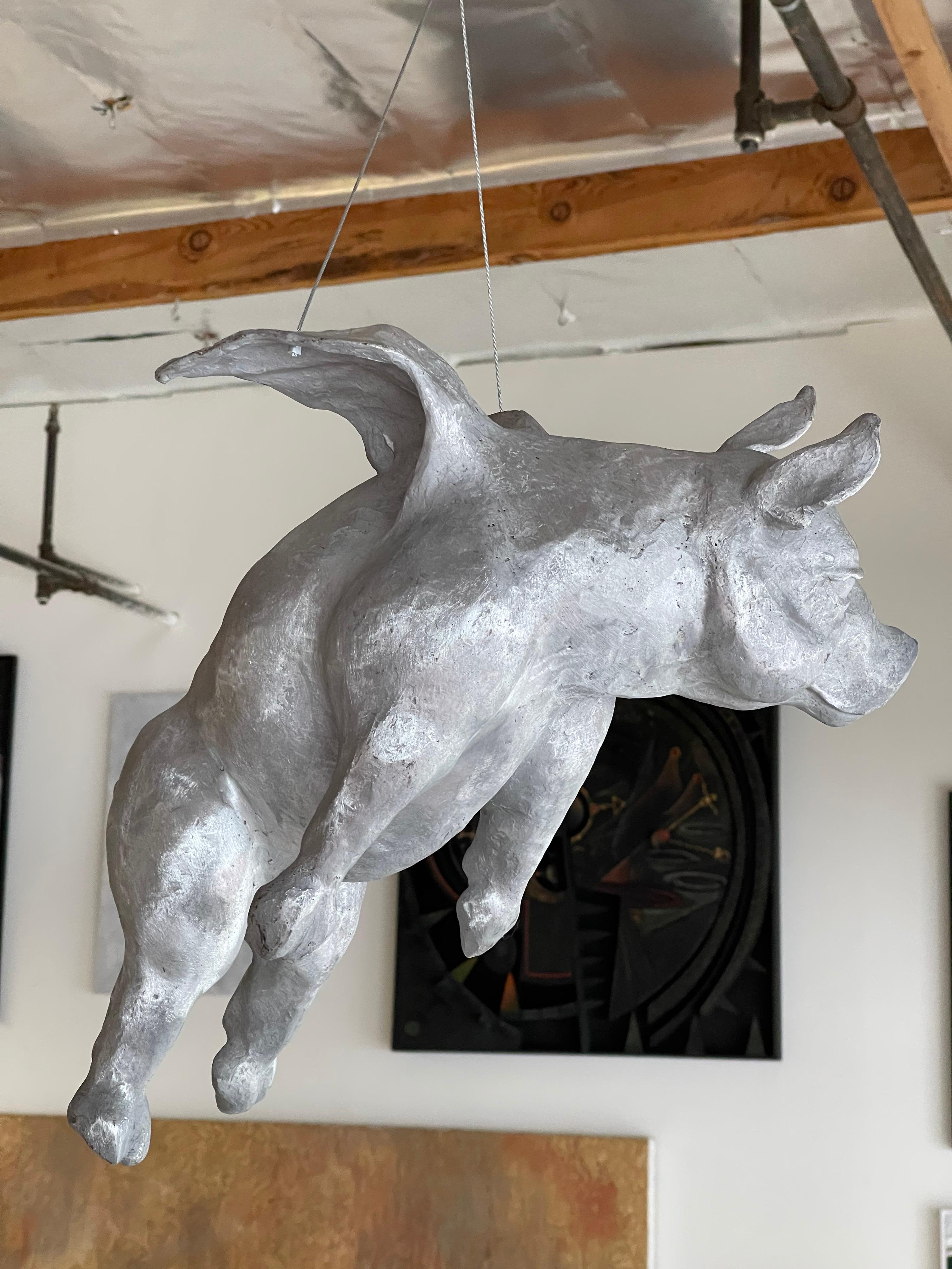 Aluminum If Pigs Could Fly For Sale