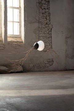 Contemporary Art Floating Seed Branching Suspension Lamp by Jérôme Pereira