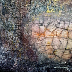 Resilience, Painting, Acrylic on Canvas