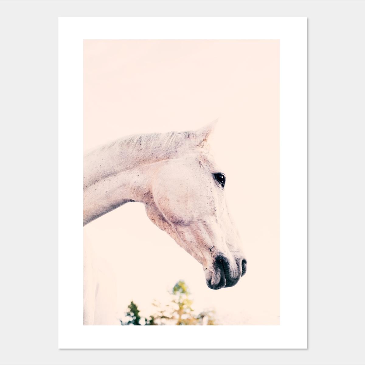 Iggy 

Giclée Fine Art Print. Encadrement/montage à prévoir.
1/25 

De la collection 