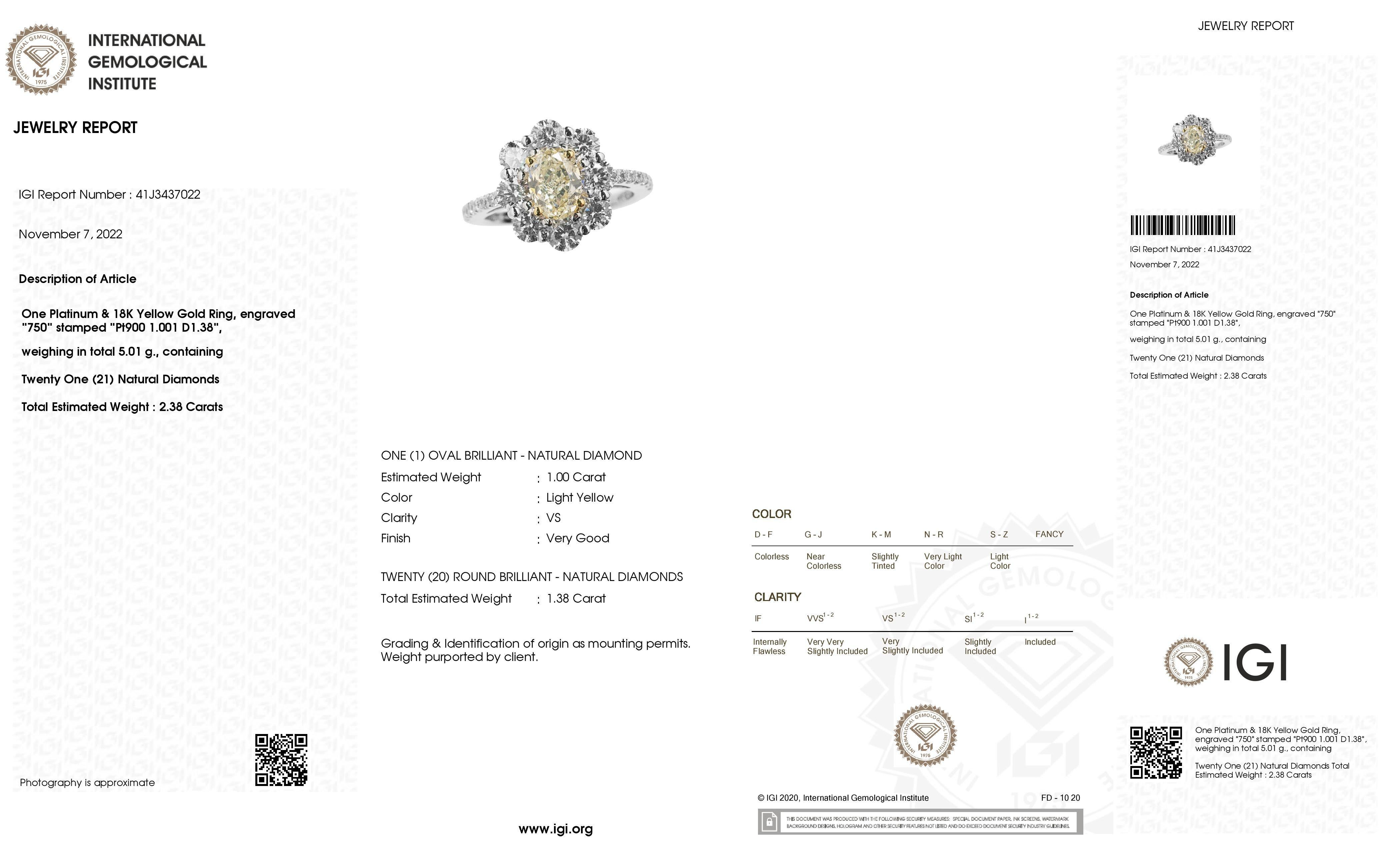 IGI Certified 1.00ct Oval Diamond 1.38ct Natural Diamonds Platinum & Gold Ring For Sale 2