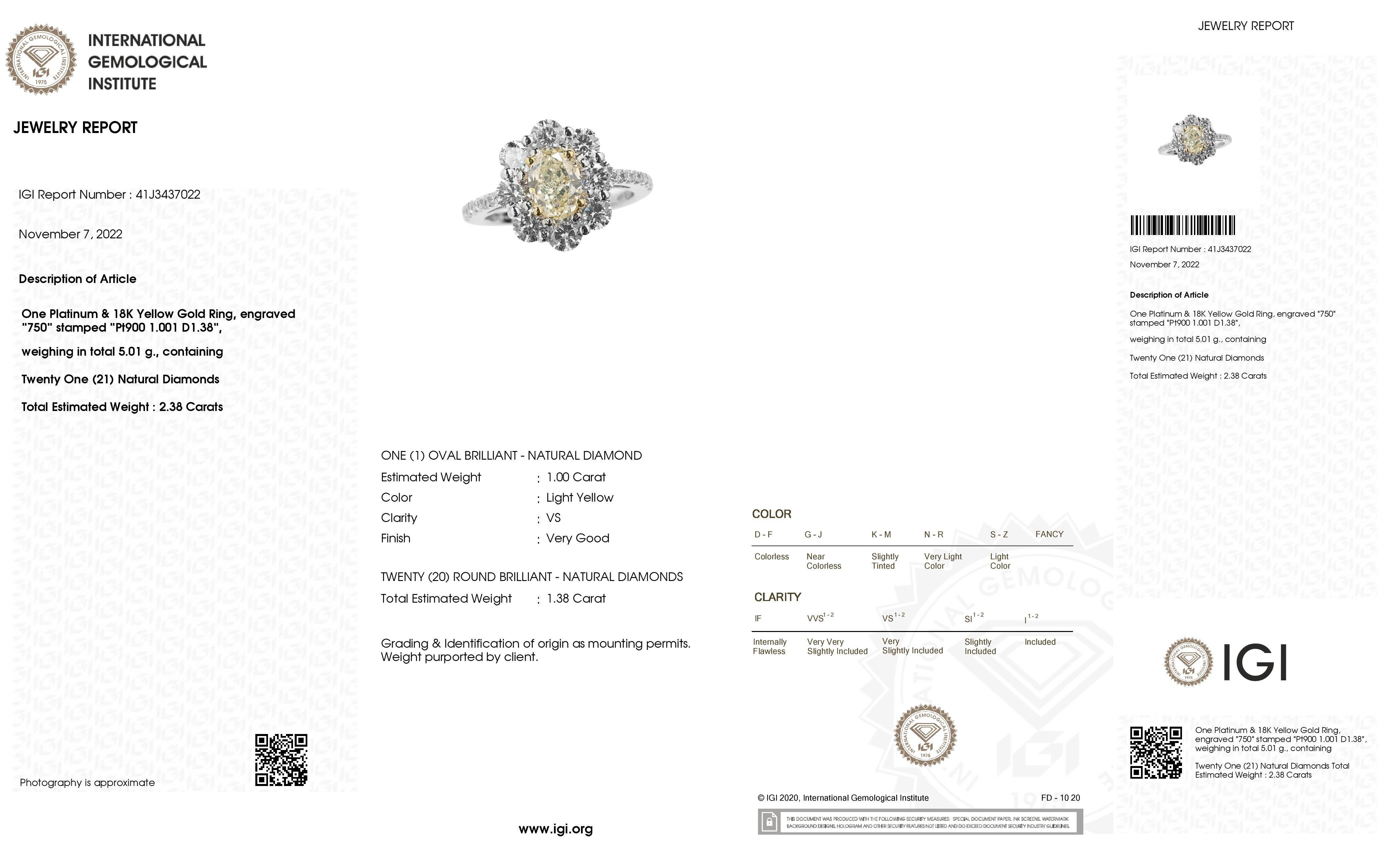 IGI Certified 1.00ct Oval Diamond 1.38ct Natural Diamonds Platinum & Gold Ring 2